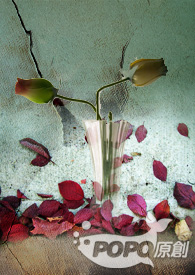 �������֮��