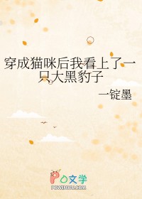 ����è����ҿ�����һֻ��ڱ���