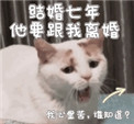 ���������Ҫ�������