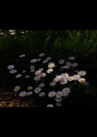 �ҵ�����֮·